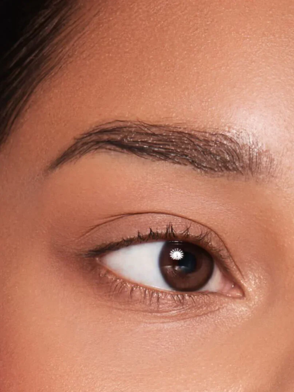TRIO BROW, LASH, LIFT